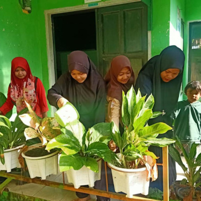 Laboratorium IPA MTsN 5 Bulukumba Manfaatkan Tanaman Hias Untuk Kenyamanan Pengguna Laboratorium