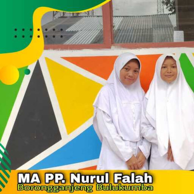 Tiga Siswa MA PP Nurul Falah Bulukumba Ukir Prestasi di NSO 2022