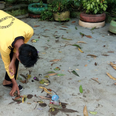 Piket Kelas Siswa MTs Muhammadiyah Bulukumba Bersihkan Halaman Madrasah