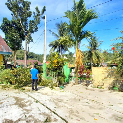 Hindari Insiden, MTs Muhammadiyah Kajang Tebang Pohon Depan Madrasah