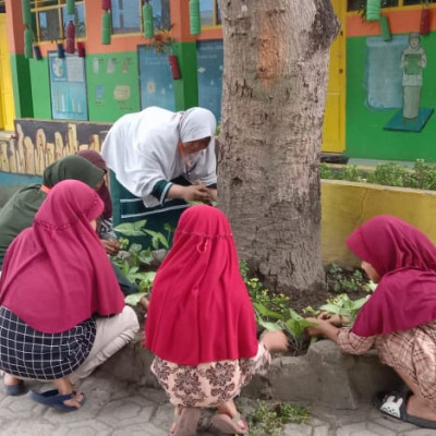 Korbid Kesiswaan MIN 1 Bulukumba, Kawal Aksi Mahasiswa KKLP STAI Al-Gazali Bulukumba