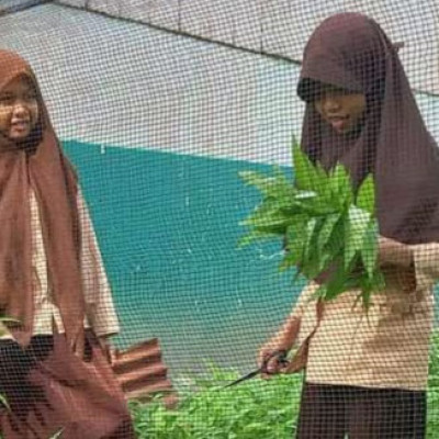 Manfaatkan Halaman Samping Madrasah, Guru dan Siswa Kelas 6 MIS Darul Istiqamah Bulukumba Panen Kangkung