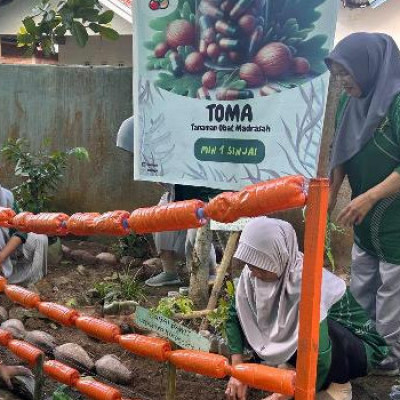 Kembangkan Taman Obat Madrasah, MIN 1 Sinjai Miliki  Bendungan Ramah Lingkungan