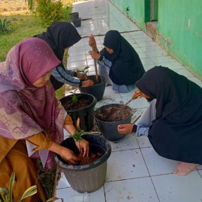 Ajarkan Hidup Berkelanjutan, Guru MTs Darul Istiqamah Bulukumba Gelar Aksi Penanaman Bibit Bernilai Ekonomi