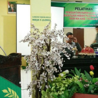 Kabid Madrasah Buka  Pelatihan Penguatan Kurikulum 2013 di Kemenag Takalar